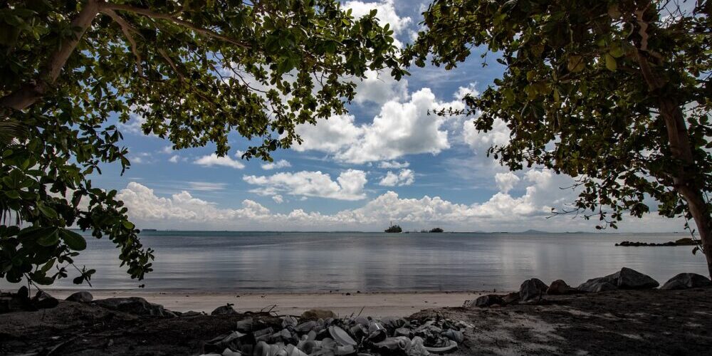 Yard trash pick up Jacksonville FL Yard trash pick up Jacksonville FL