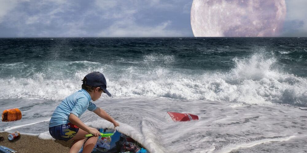 Trash Removal Orlando