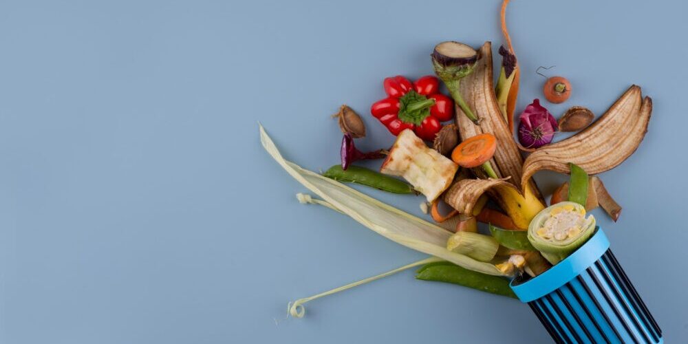 Laxton trash Removal