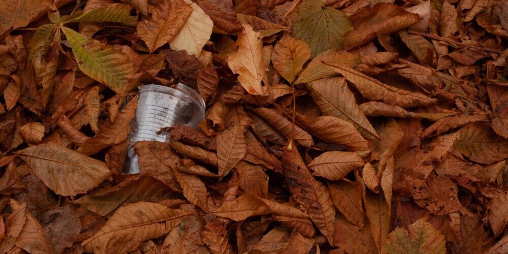 Trash Removal Marietta GA Trash Removal Marietta GA