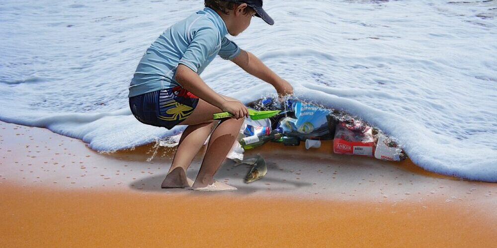 Trash pickup DC Trash Removal Solutions