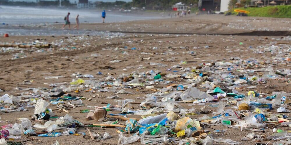 Local trash pickup schedule Local trash pickup schedule