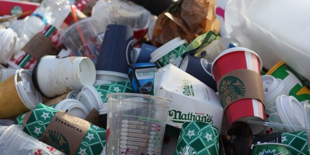 How to find out trash day