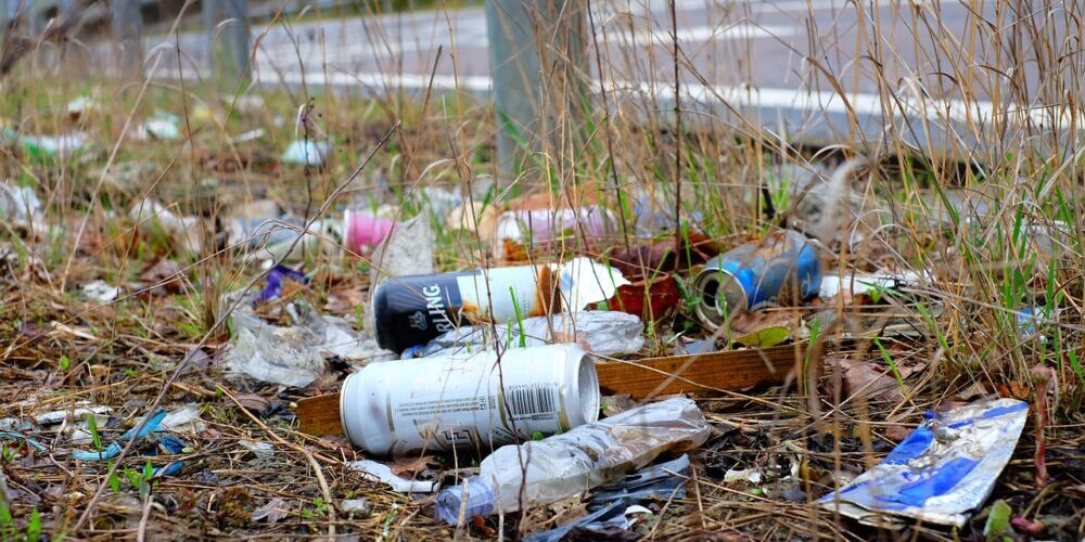 Williamson trash Removal