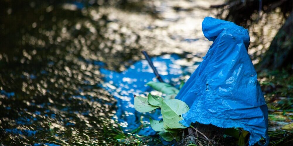 Trash Removal City of Detroit Trash Removal City of Detroit