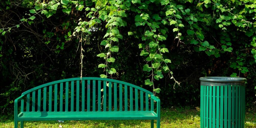 Trash pickup Services Trash pickup Services