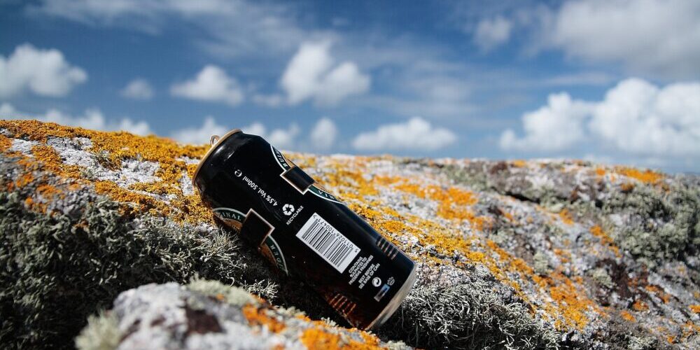 Trash Removal Las Vegas