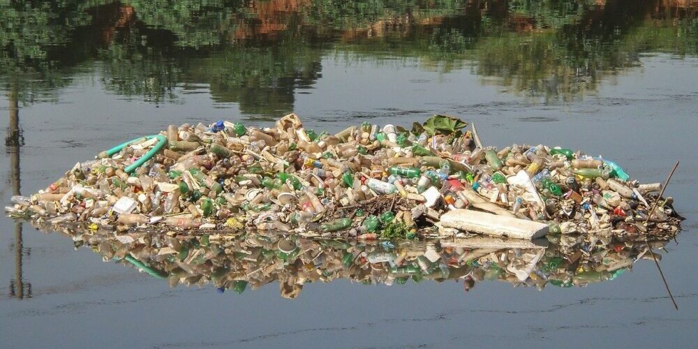 Accurate trash Removal Land o Lakes Accurate trash Removal Land o Lakes