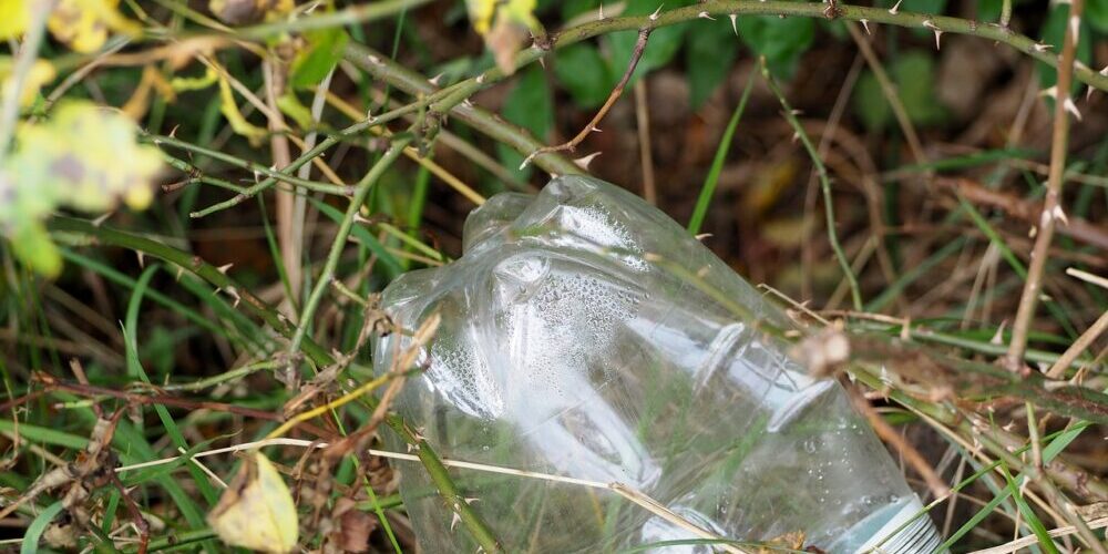 Trash Removal Columbia SC