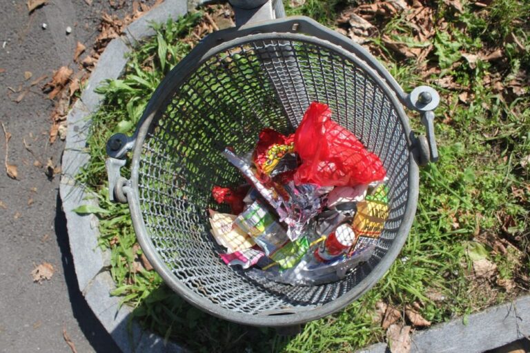 Republic trash pick up