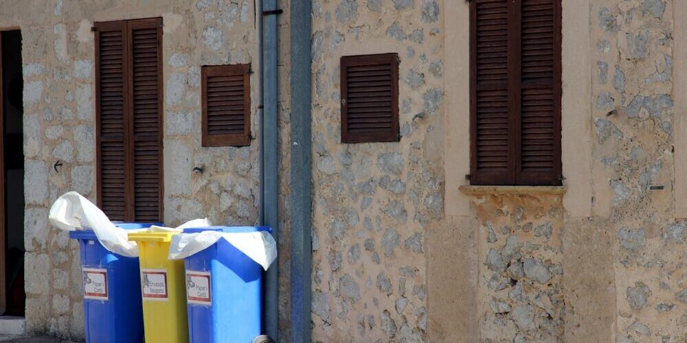 Yard trash Removal Palm Harbor