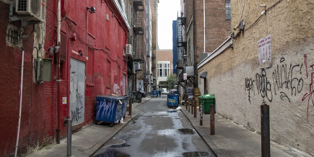 Yard trash Removal Services Yard trash Removal Services