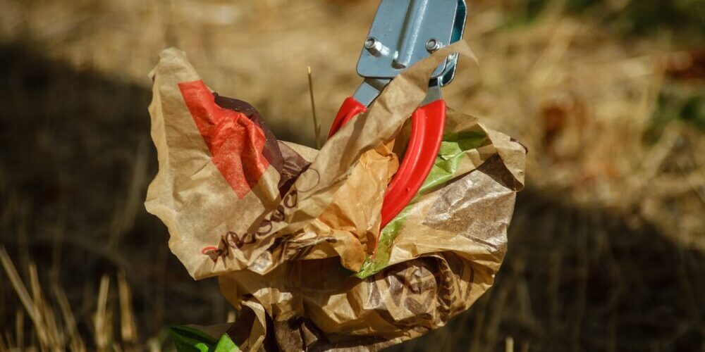 Carroll County trash Removal