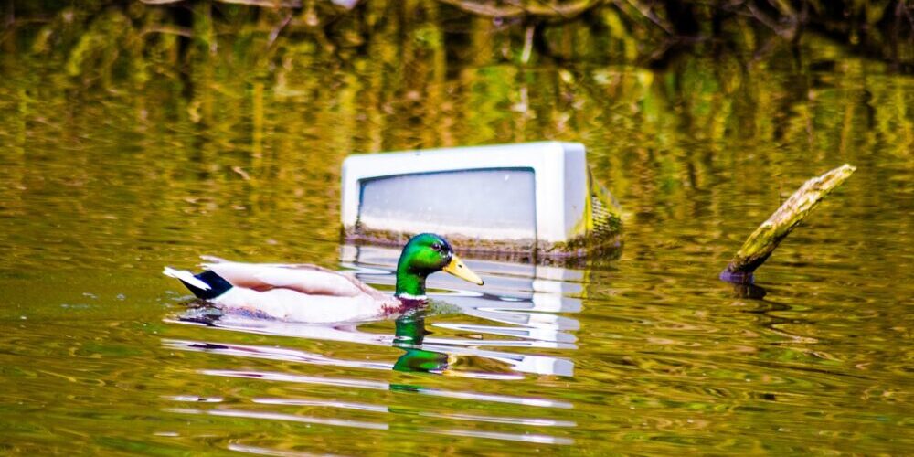 Special trash pickup up