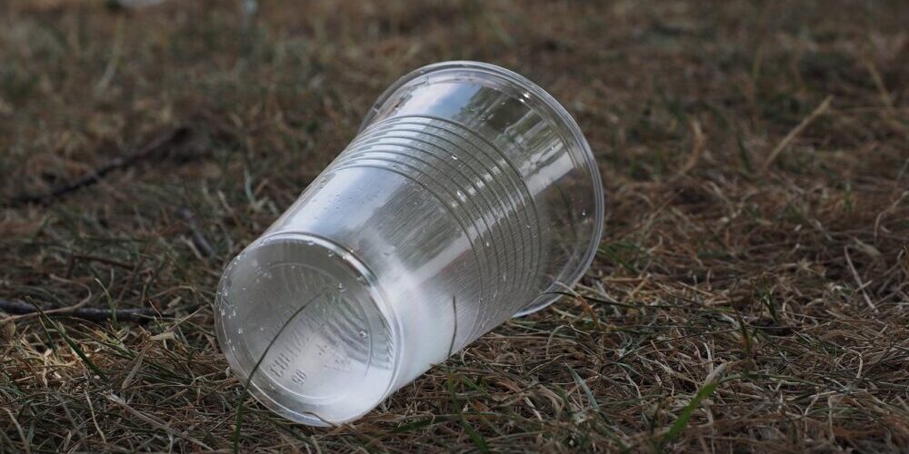 Weekly trash Removal