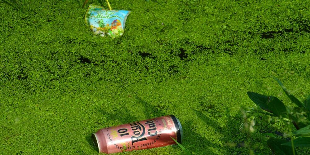 Waste Management, trash