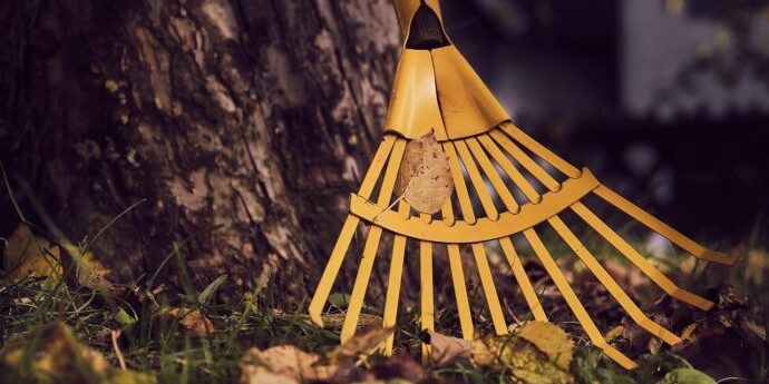 Clearing the garden from debris