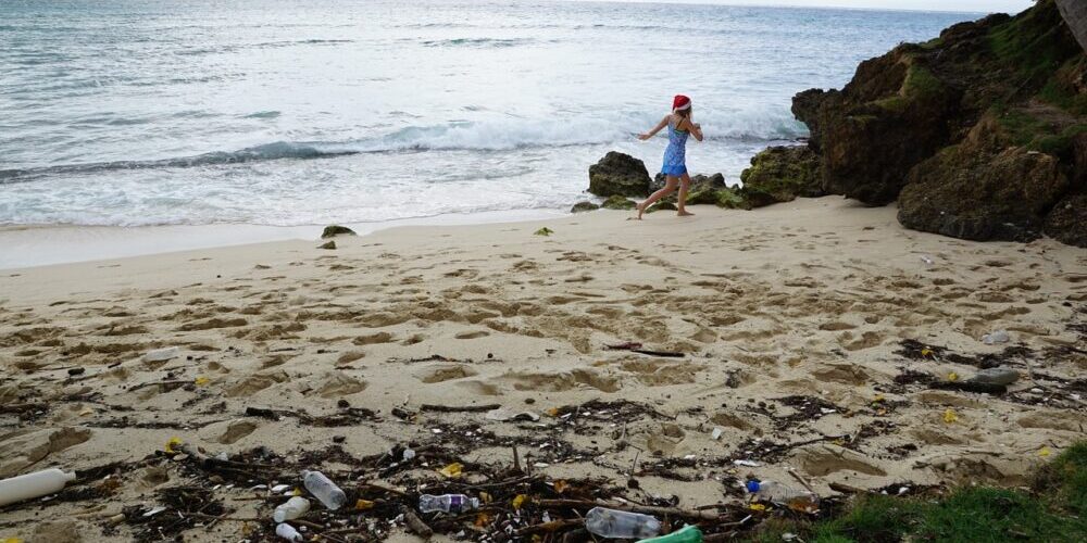 Trash Removal Burbank CA