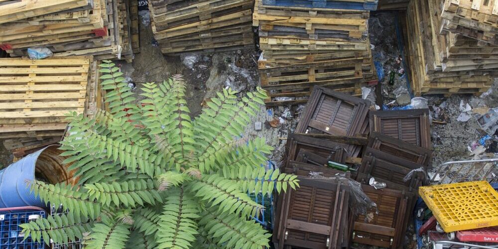 Trash Removal Calgary