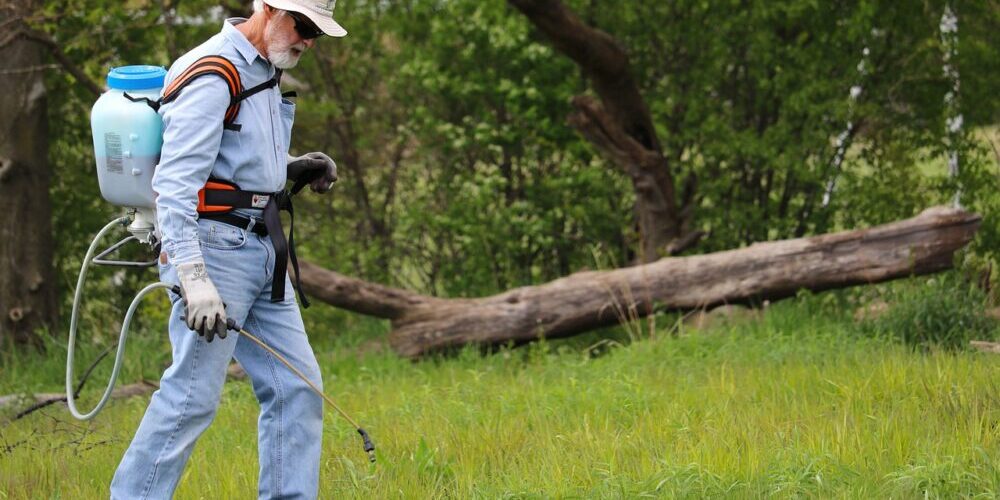 How to get rid of weeds